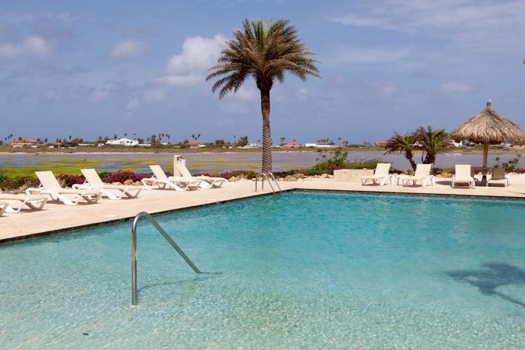 New! Cozy 1 Bedroom Condo- Gold Coast, Noord Aruba Palm Beach Eksteriør billede